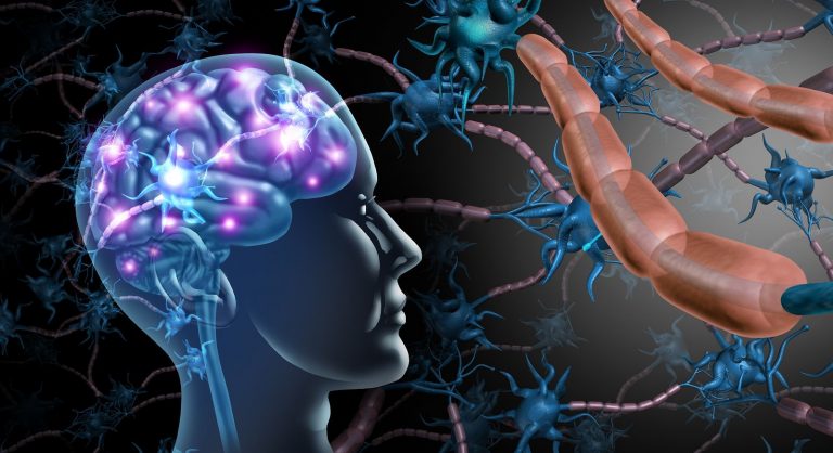 conexiones neuronales