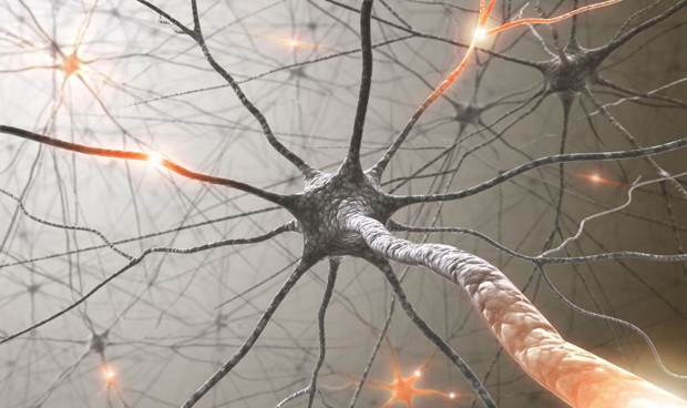 EL MOVIMIENTO EN EL DESARROLLO DEL CEREBRO